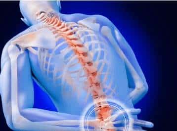 Many factors contribute to back pain.